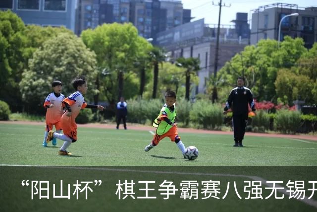 “阳山杯”棋王争霸赛八强无锡开战 丁浩等晋级半决赛